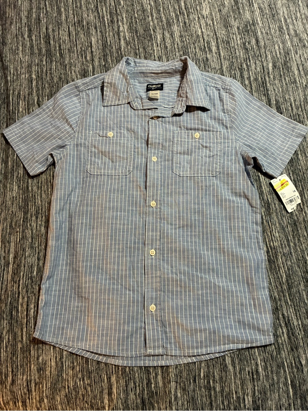 OshKosh B'gosh Blue & White Striped Short-Sleeve Button-Up Shirt